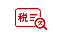 纳税情况审查