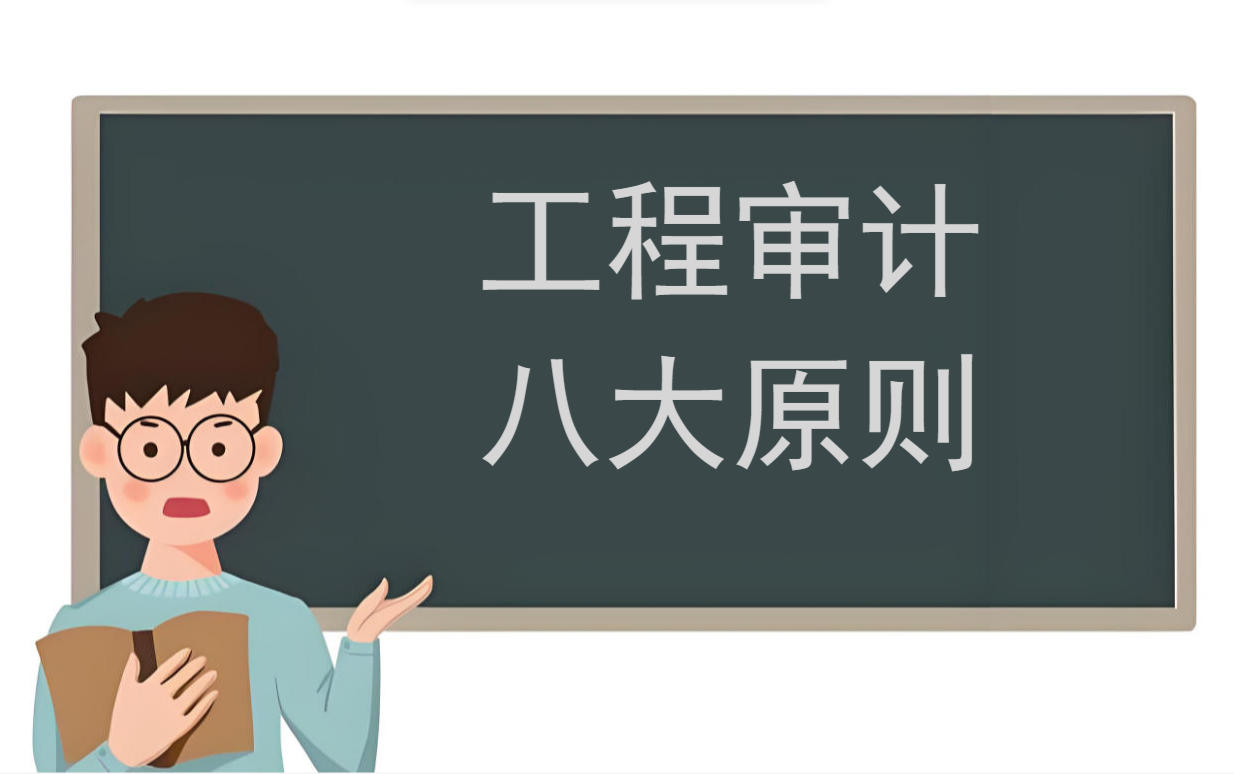 像“项目体检医生”一样做审计!8条原则,查问题、防风险超实用